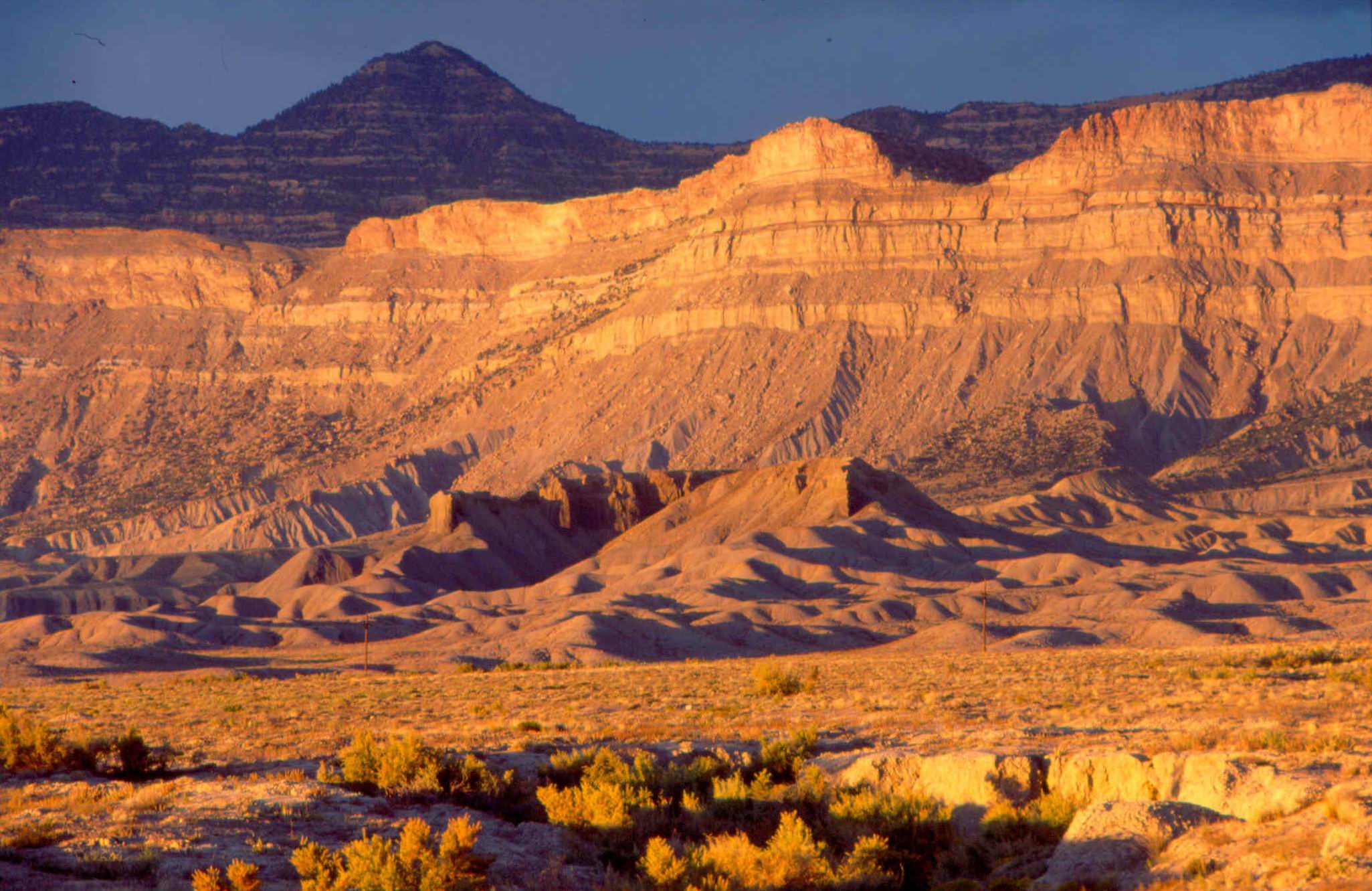 Secrets-Of-Mountain-Lion-Territories-In-Utah8217s-Book-Cliffs secrets-of-mountain-lion-territories-in-utahs-book-cliffs
