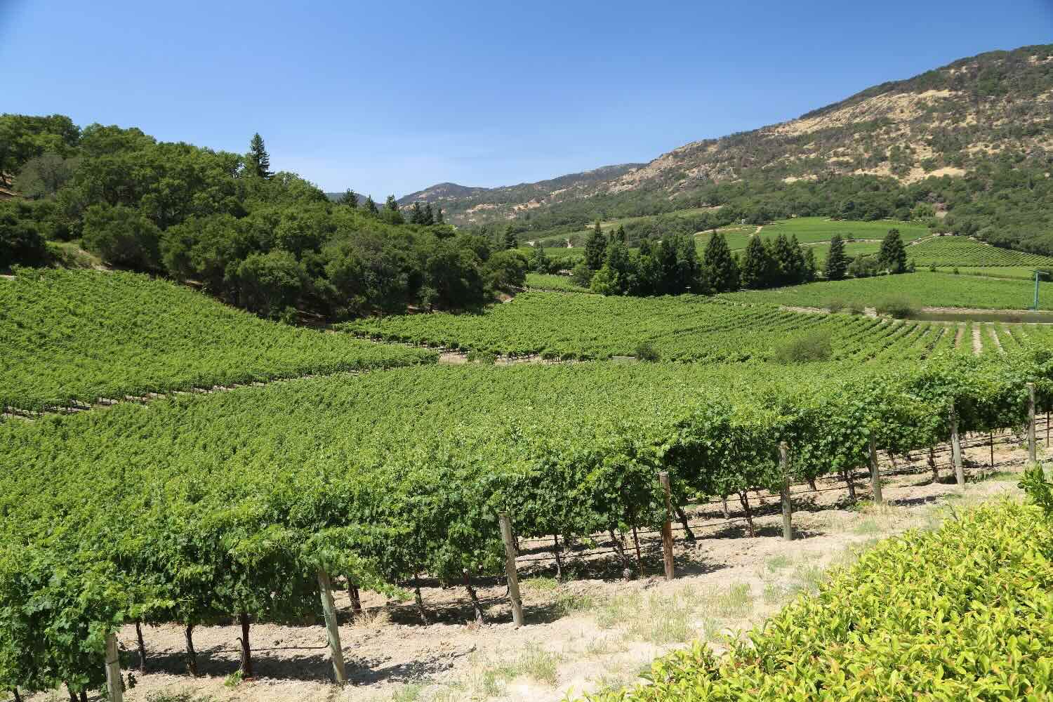 secrets-of-napa-valleys-wine-chemistry-labs