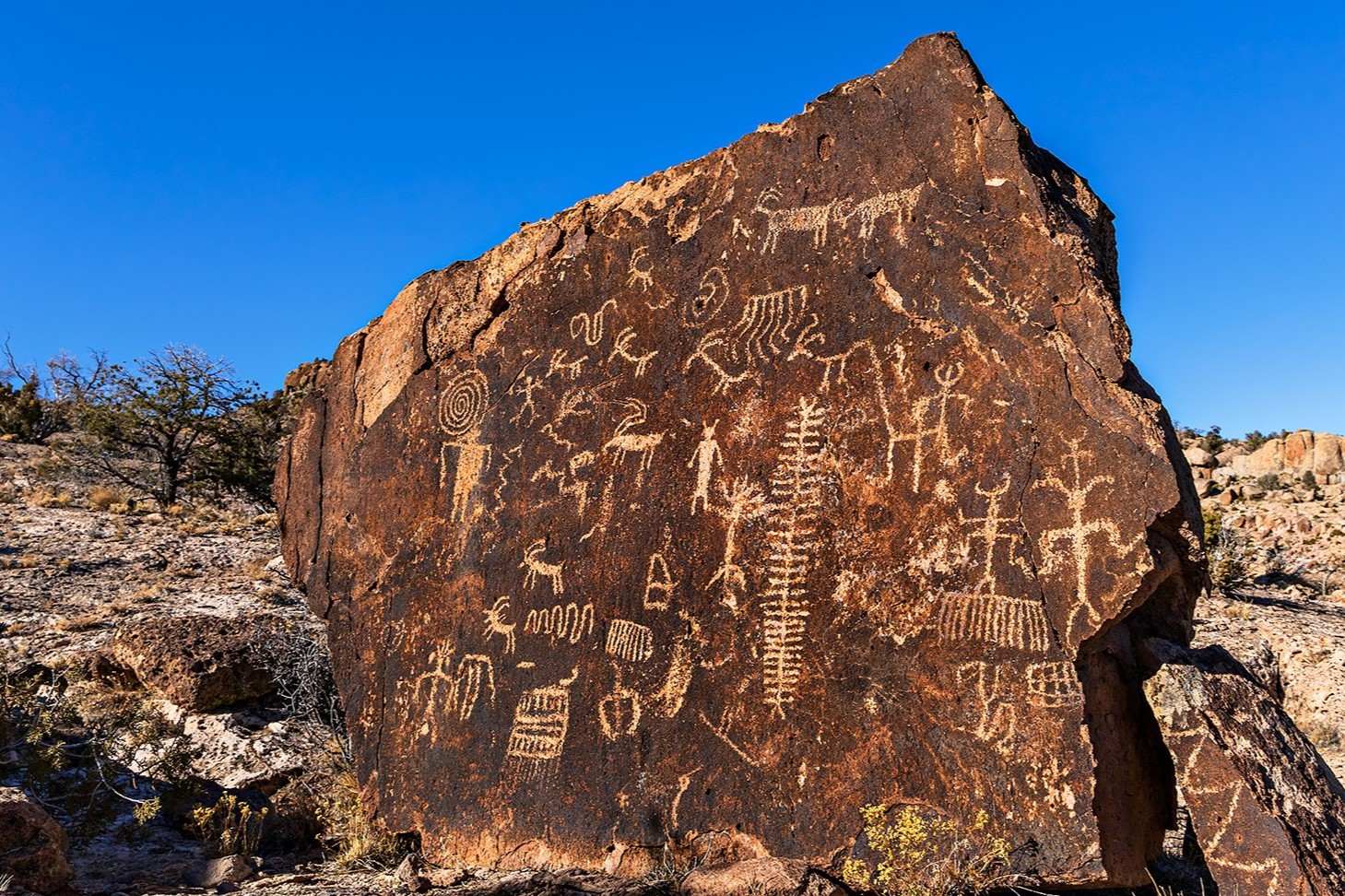 secrets-of-nevadas-ash-springs-rock-art