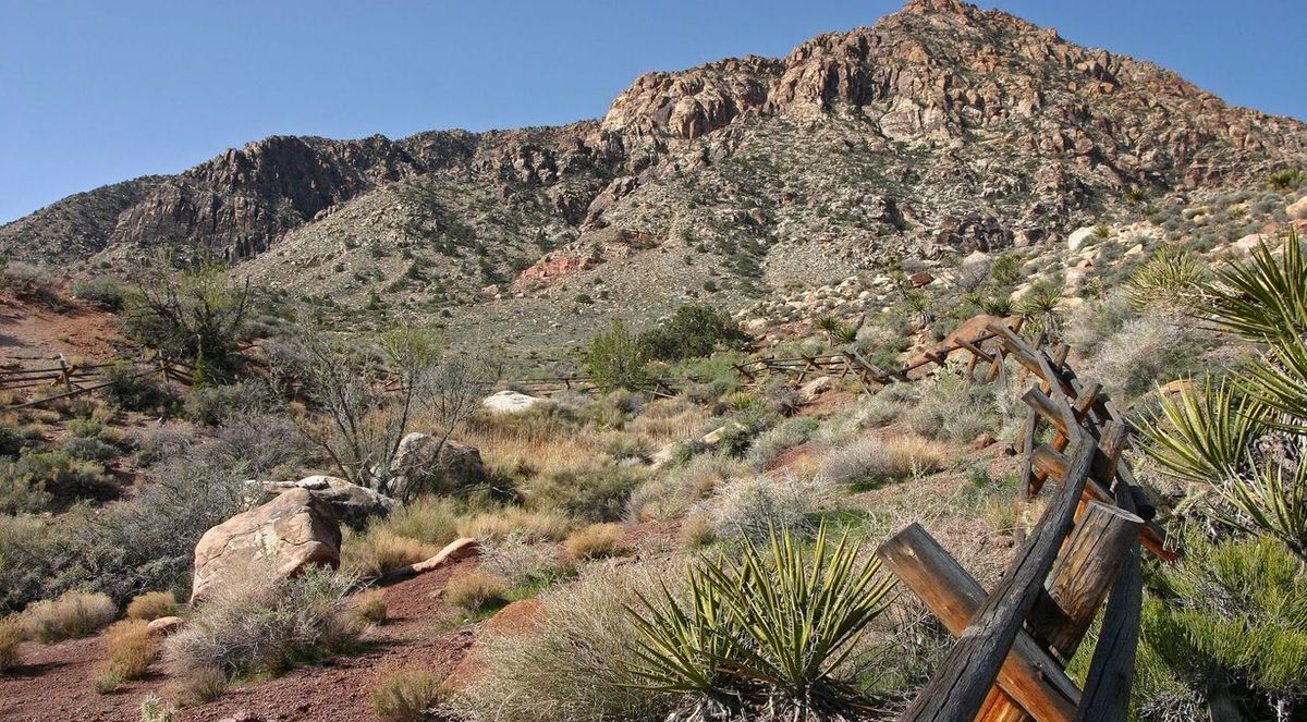 secrets-of-nevadas-grapevine-springs