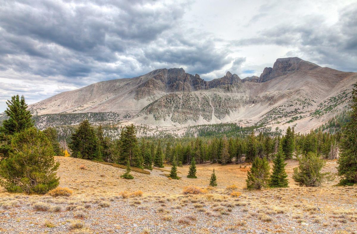 secrets-of-nevadas-great-basin-desert-wildlife-refuges
