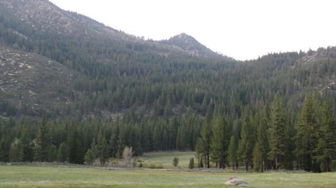 secrets-of-nevadas-grover-hot-springs