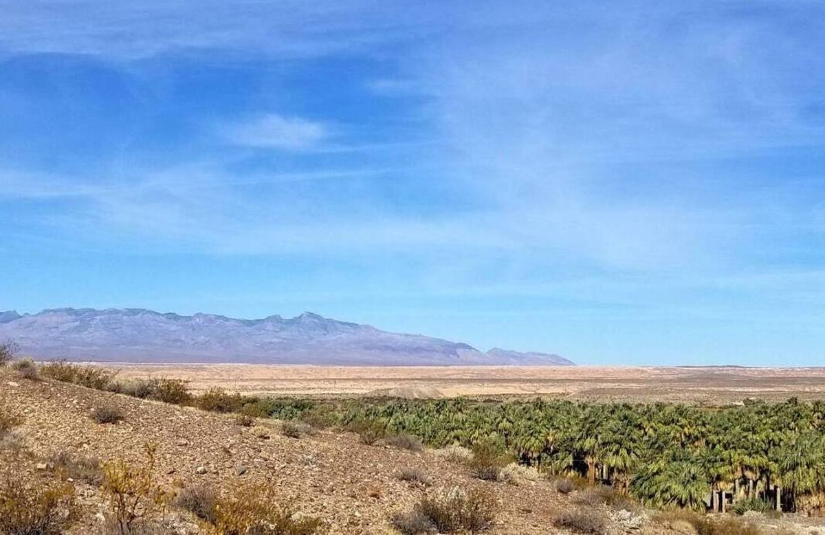 secrets-of-nevadas-moapa-desert-oases