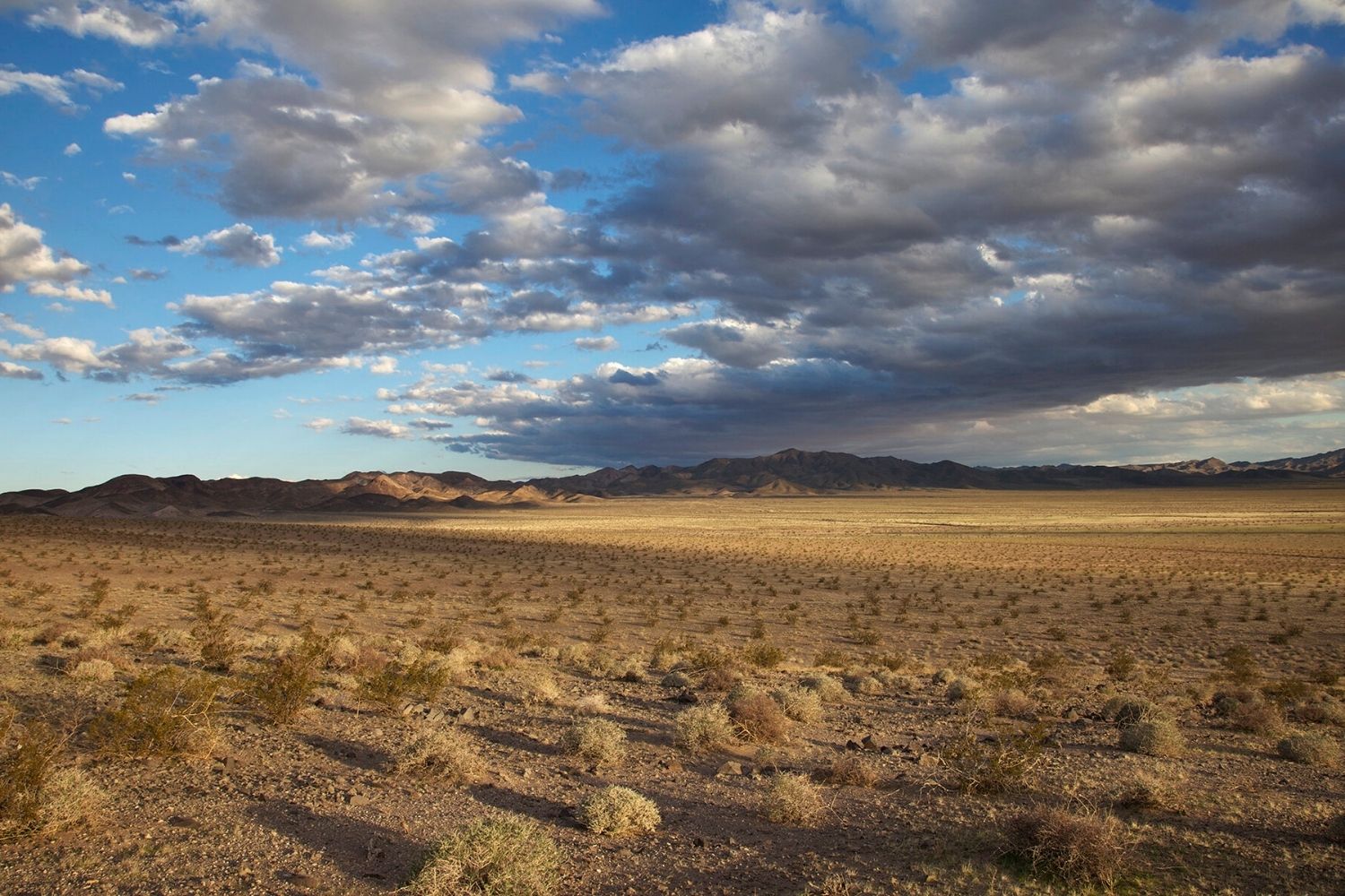 secrets-of-nevadas-mojave-wildlife-corridors