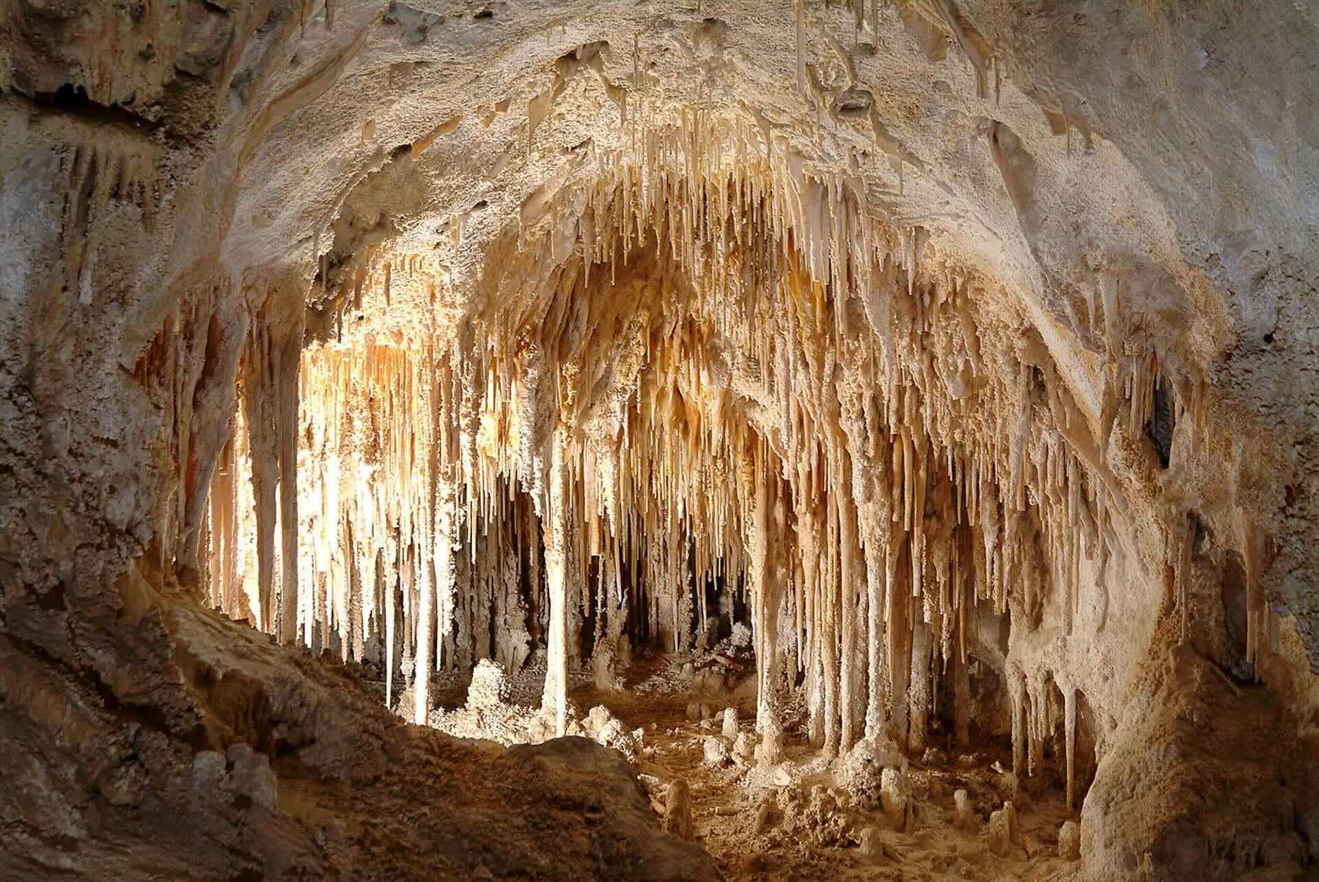 Secrets-Of-New-Mexico8217s-Cave-Microbiology-Research secrets-of-new-mexicos-cave-microbiology-research