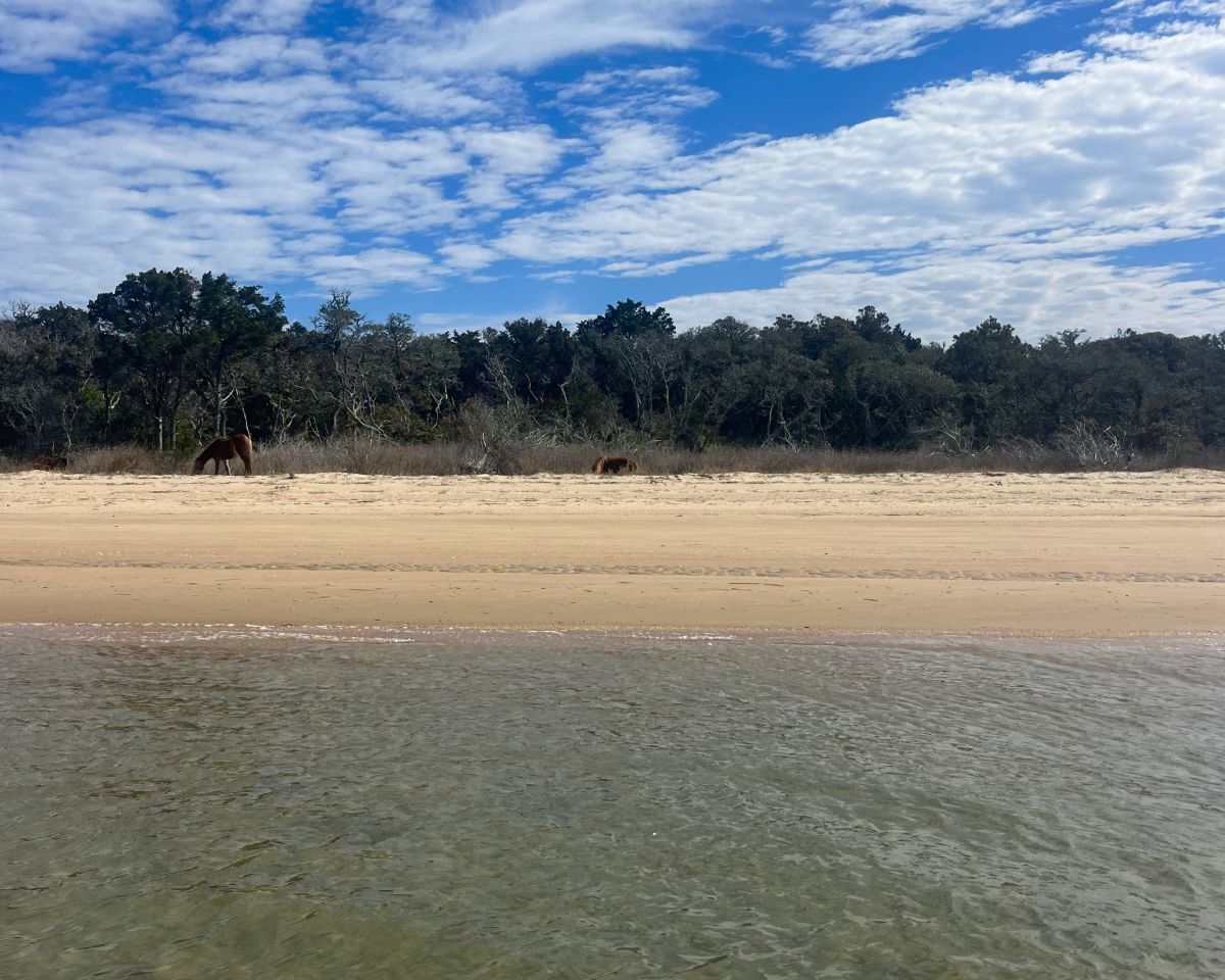 secrets-of-north-carolinas-coastal-lagoons