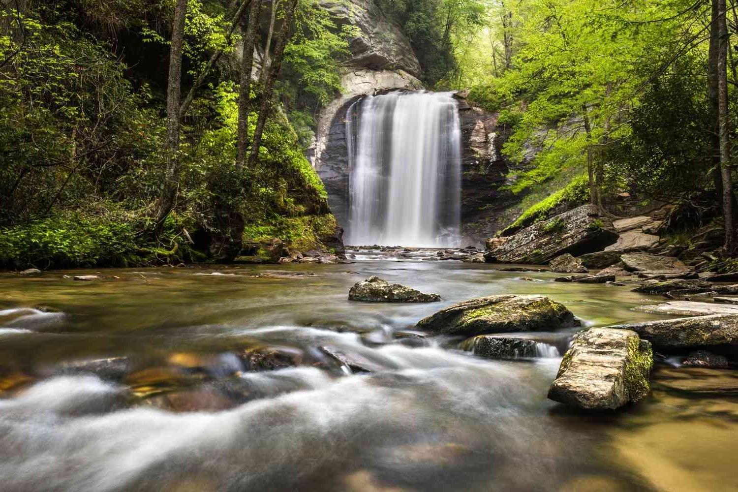 secrets-of-north-carolinas-waterfall-stream-ecology