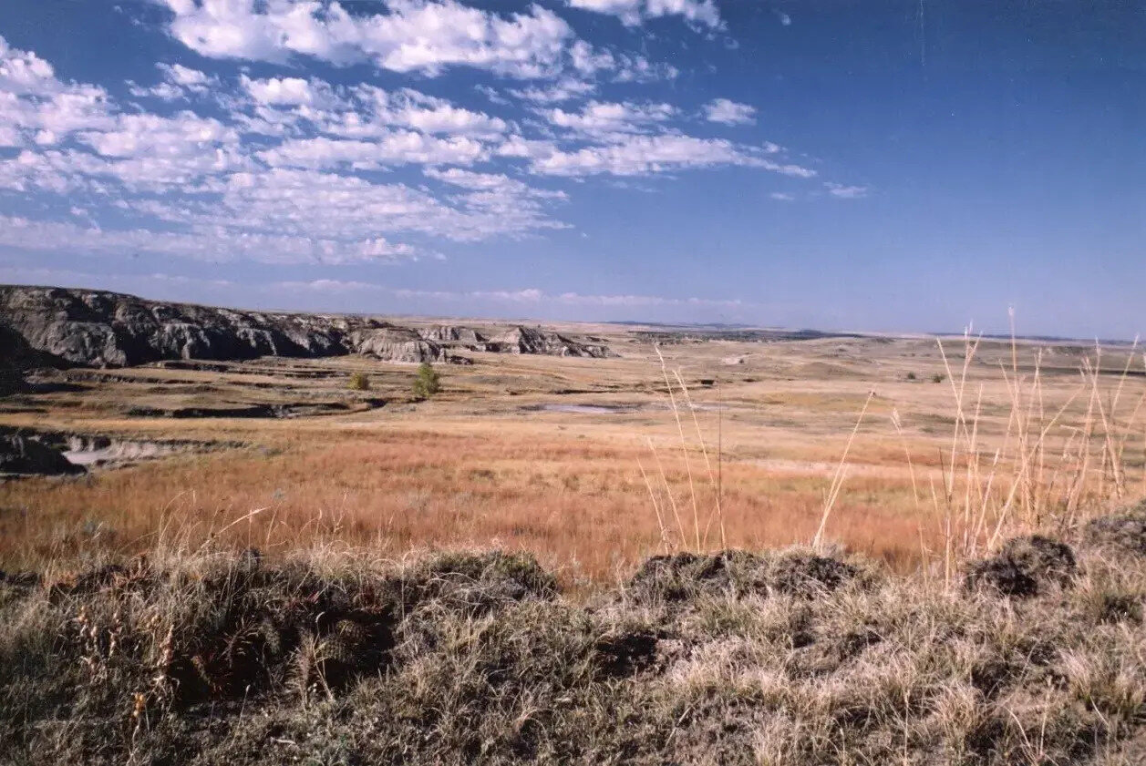 secrets-of-north-dakotas-prairie-seed-banks