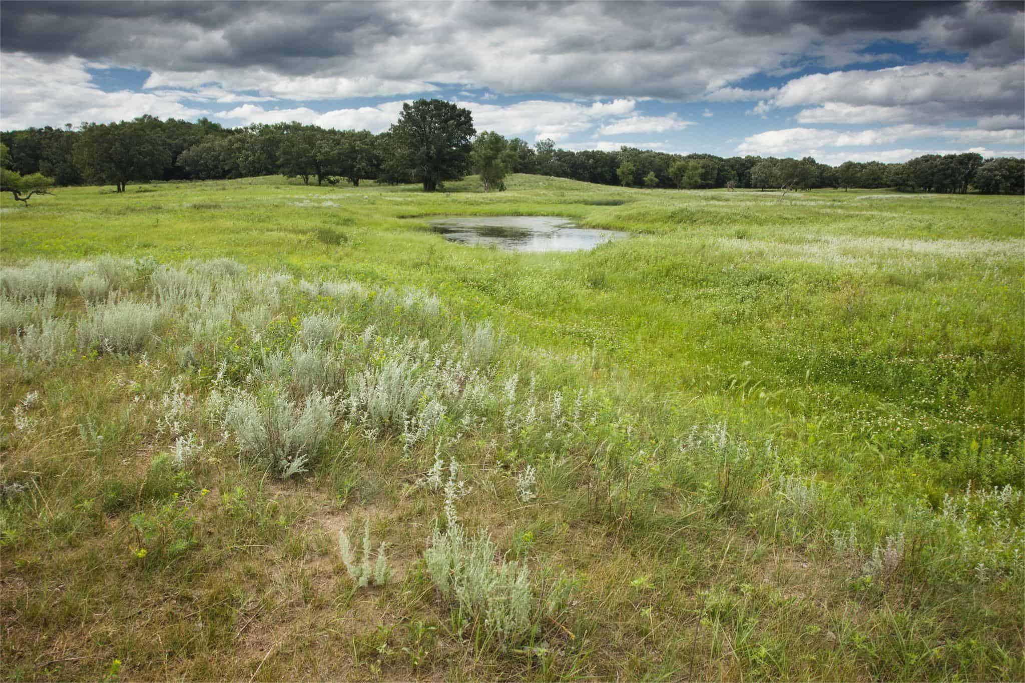 secrets-of-north-dakotas-sheyenne-delta-meadows