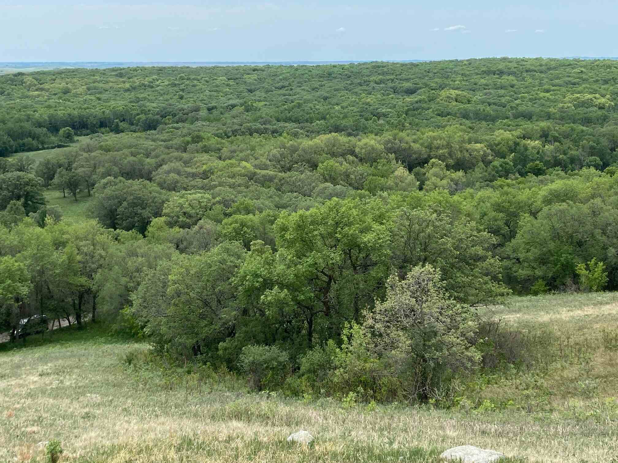 secrets-of-north-dakotas-sullys-hill-wetlands