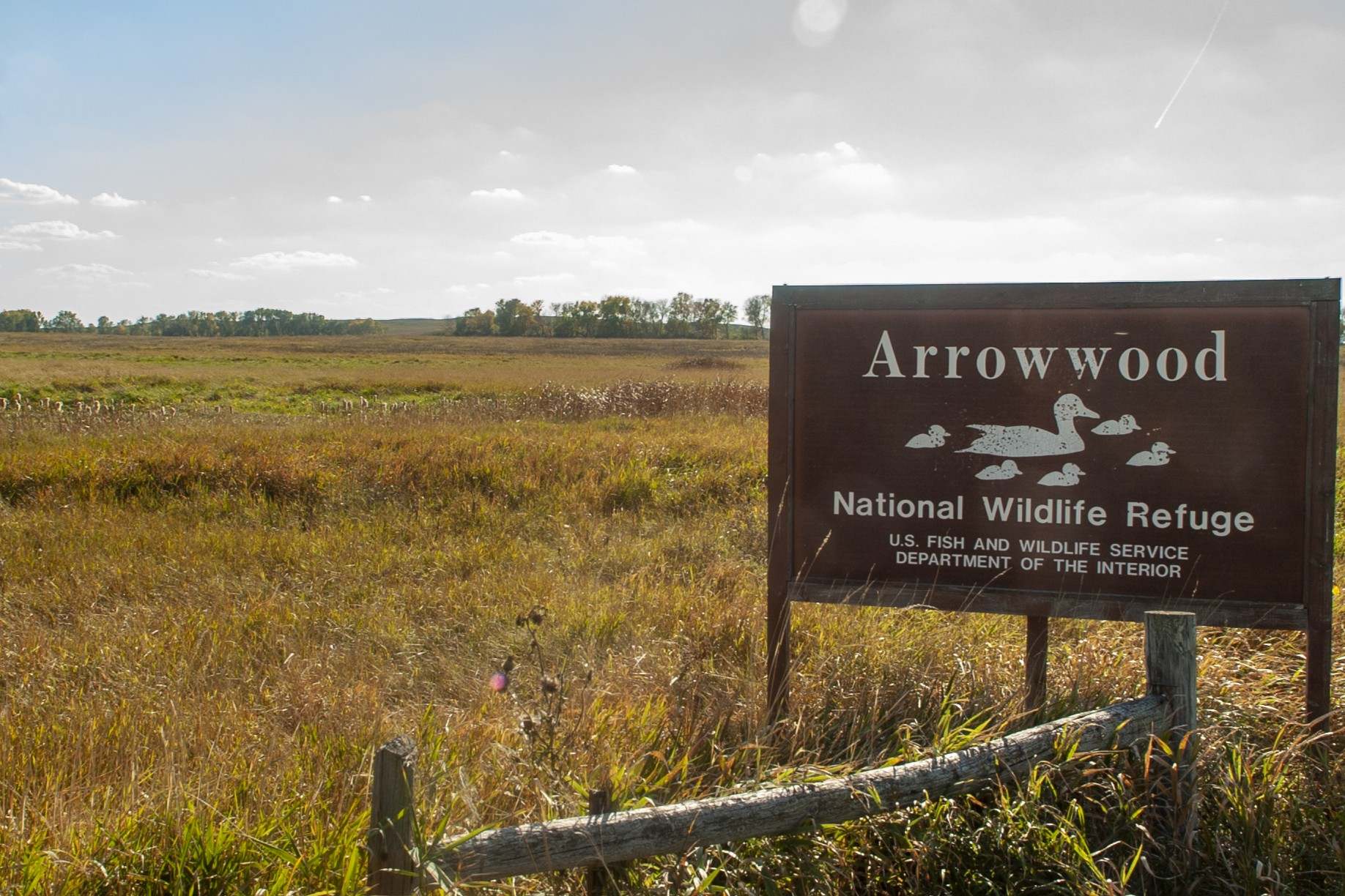 secrets-of-north-dakotas-waterfowl-refuge-wetlands
