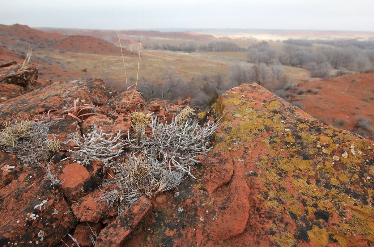 secrets-of-oklahomas-black-kettle-grassland-streams
