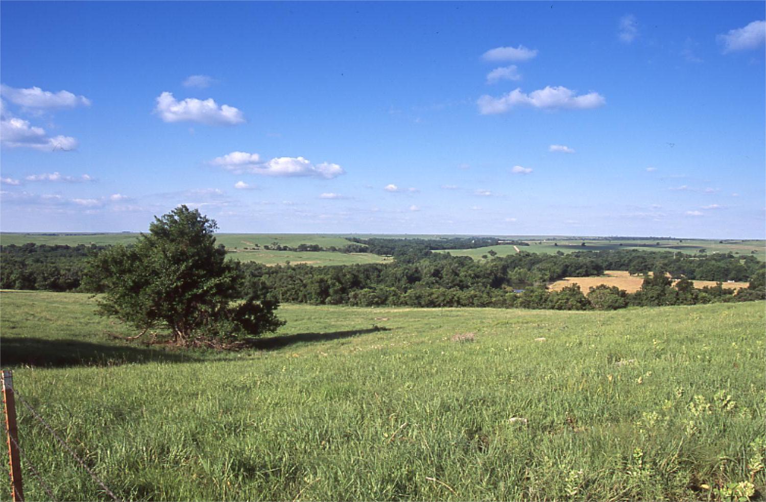 secrets-of-oklahomas-joseph-h-williams-tallgrass