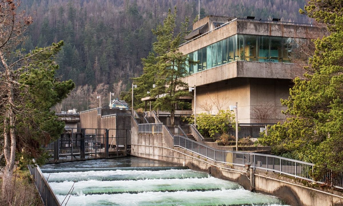 secrets-of-oregons-bonneville-dam-fish-ladder-waterfalls