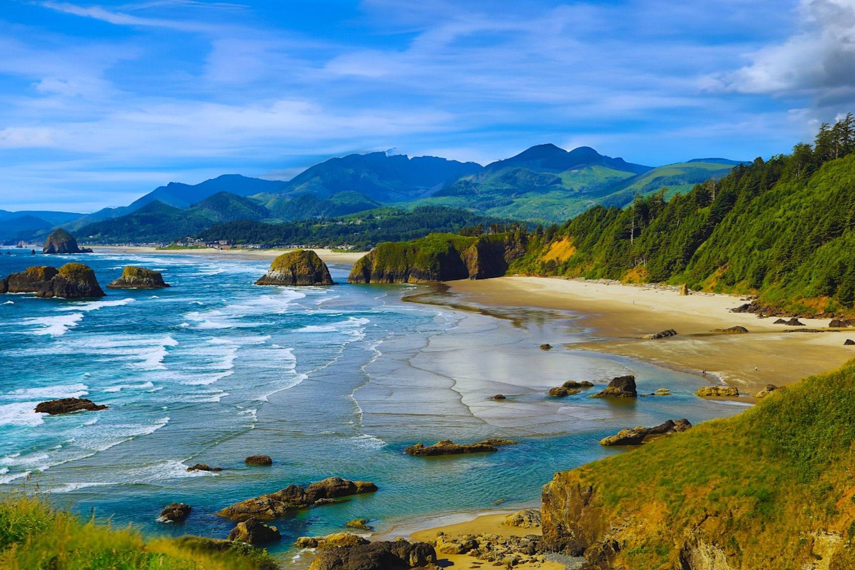 secrets-of-oregons-cannon-beach-tidal-pool-anemones