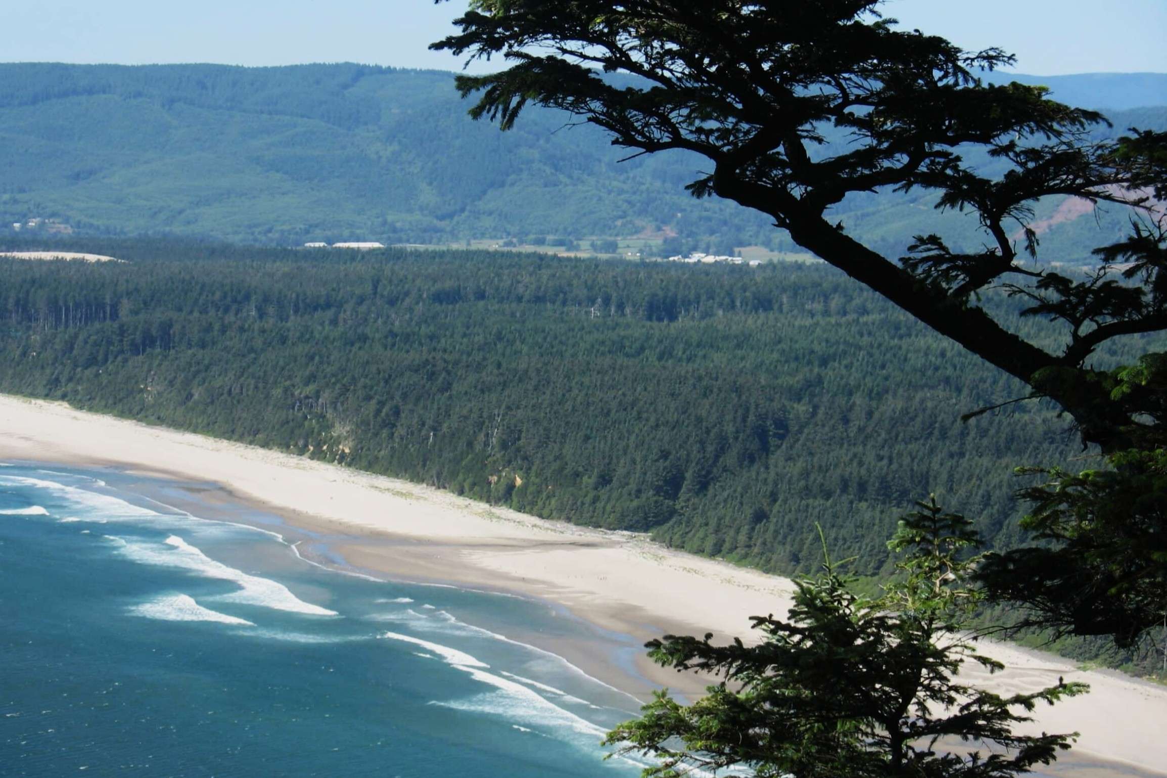 secrets-of-oregons-coastal-lumber-towns