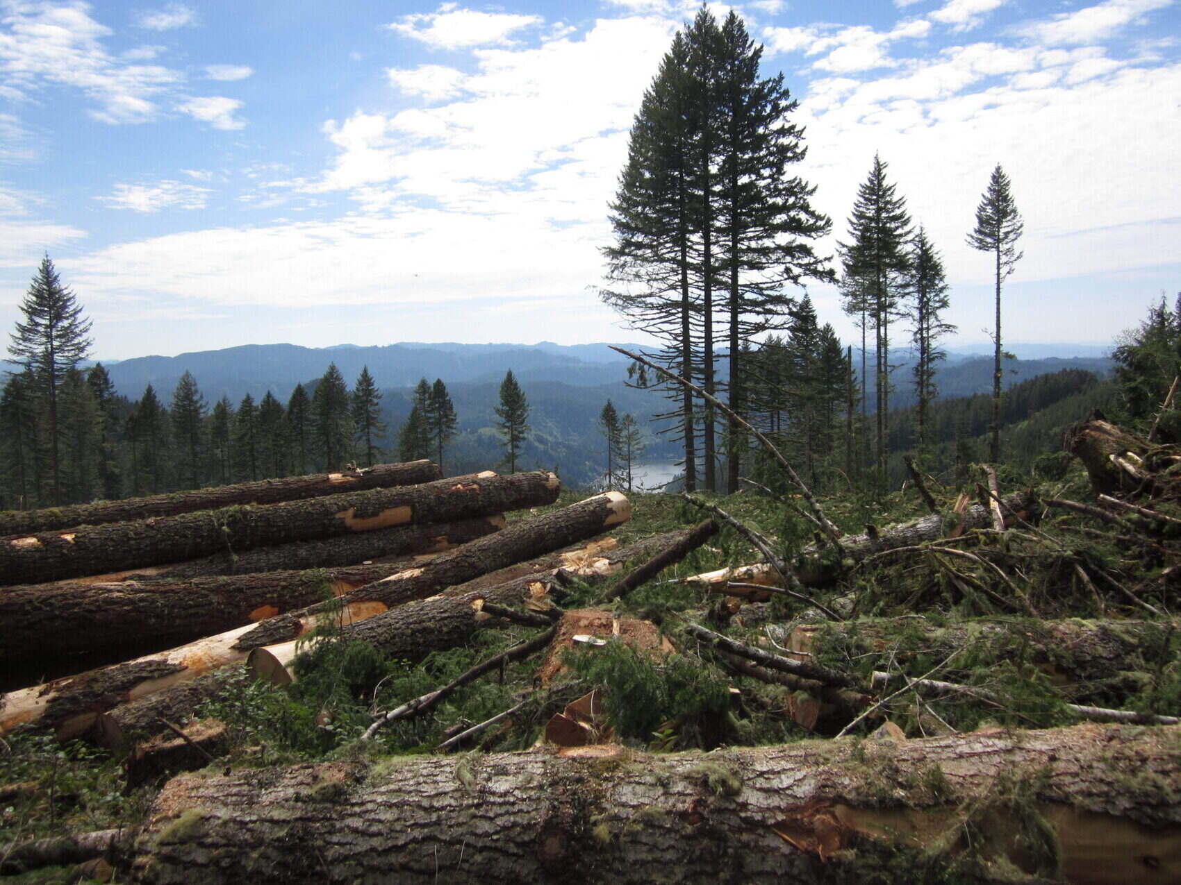 secrets-of-oregons-forest-research-networks