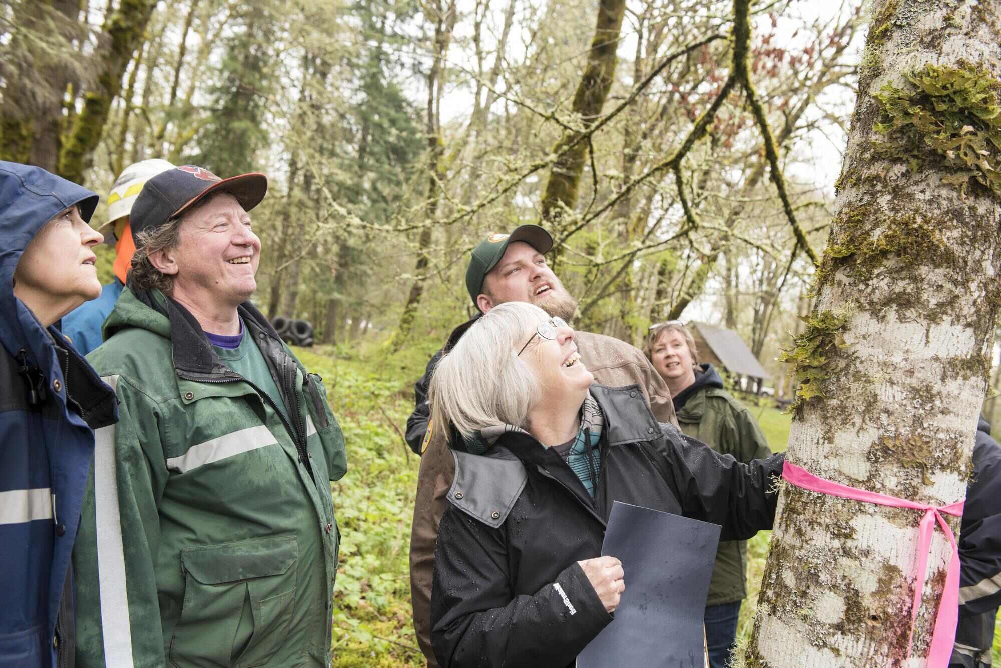 secrets-of-oregons-forest-research-programs