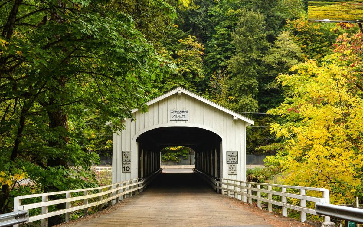 secrets-of-oregons-mckenzie-lane-county-meadows