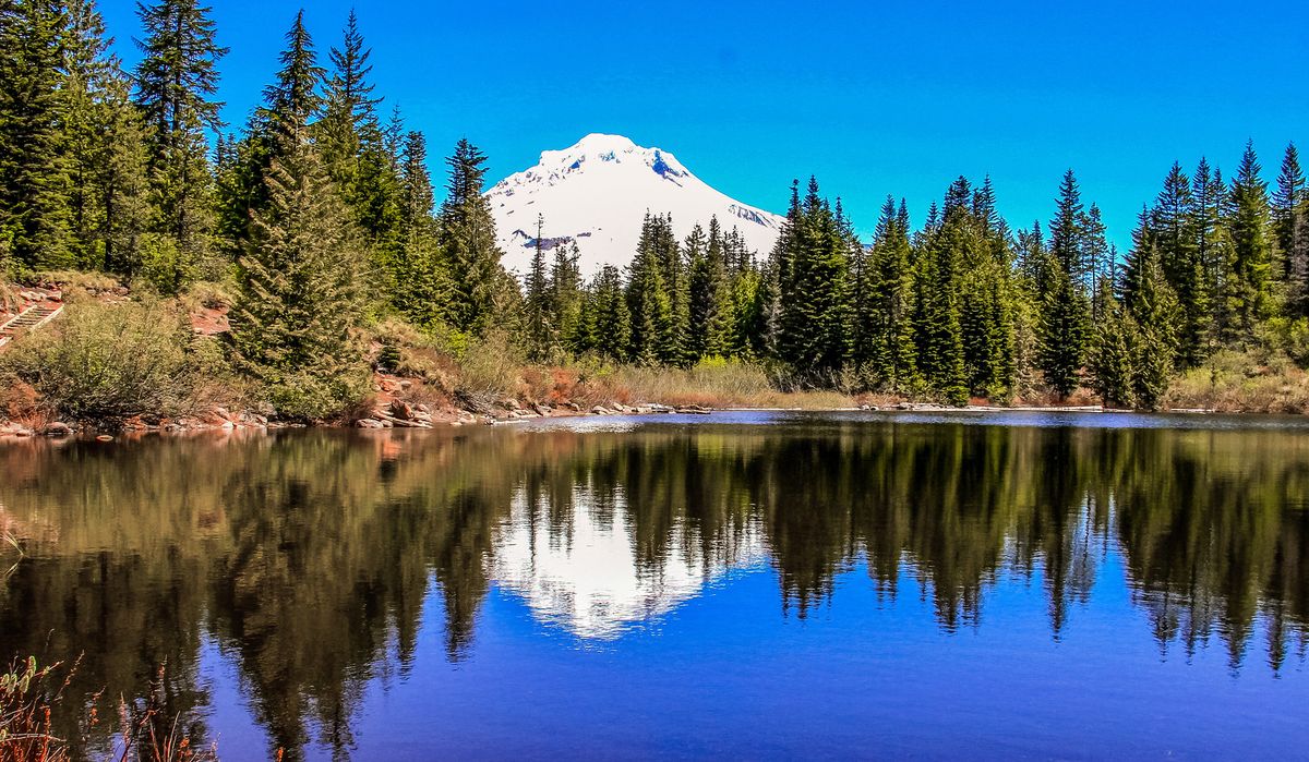 secrets-of-oregons-mirror-lake-forests