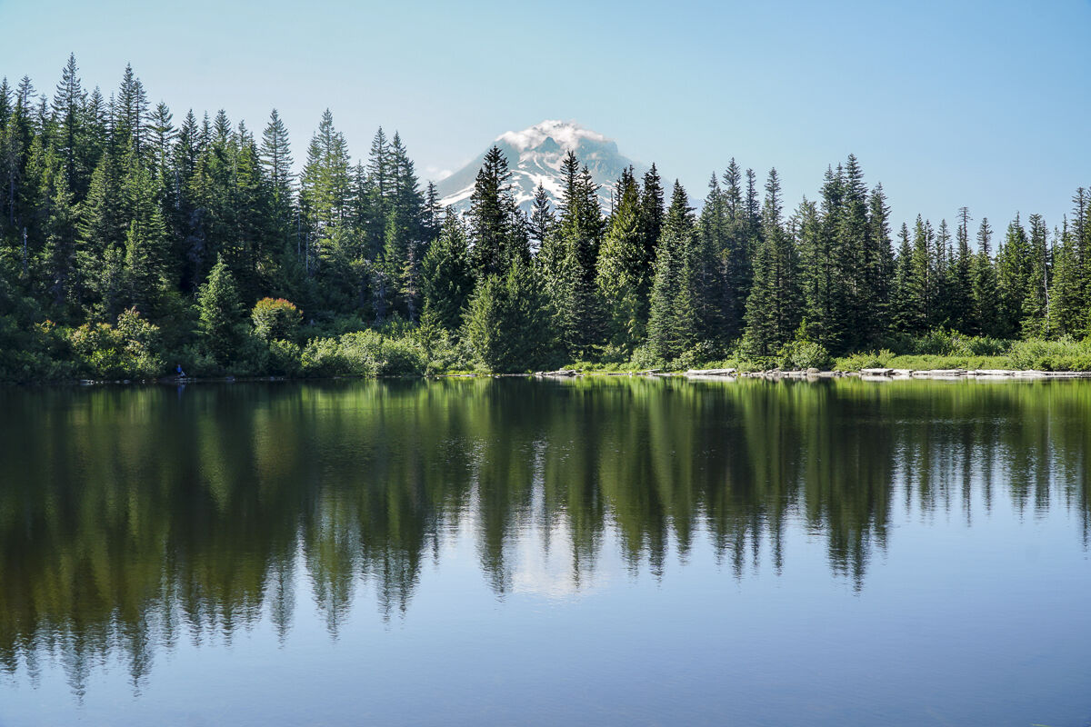 secrets-of-oregons-mount-hood-forest-clearings