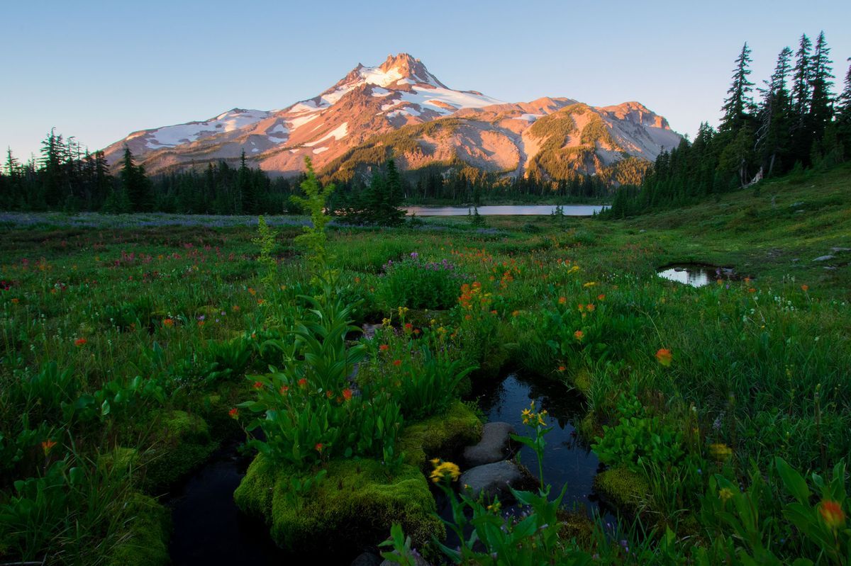 secrets-of-oregons-mount-jefferson-wilderness
