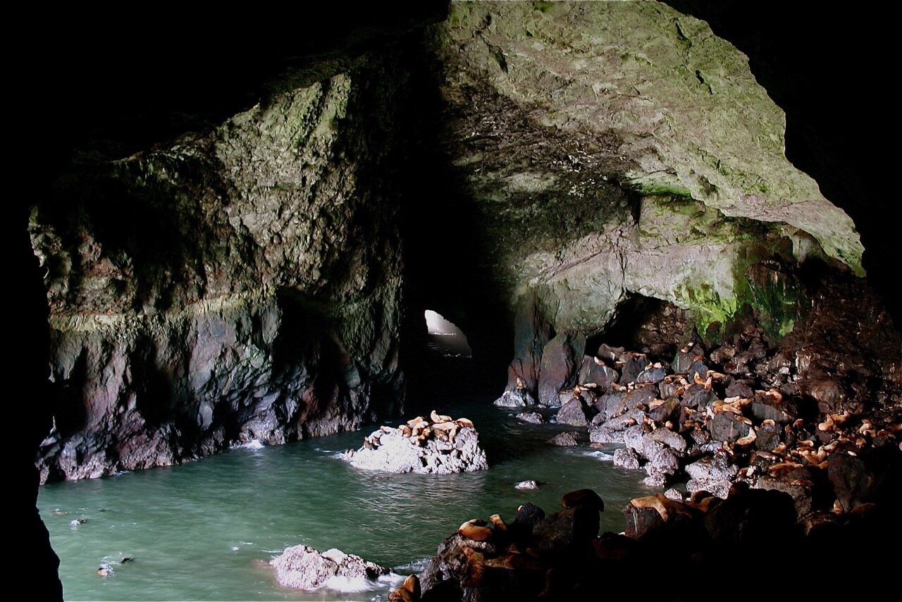 secrets-of-oregons-sea-lion-point-caves