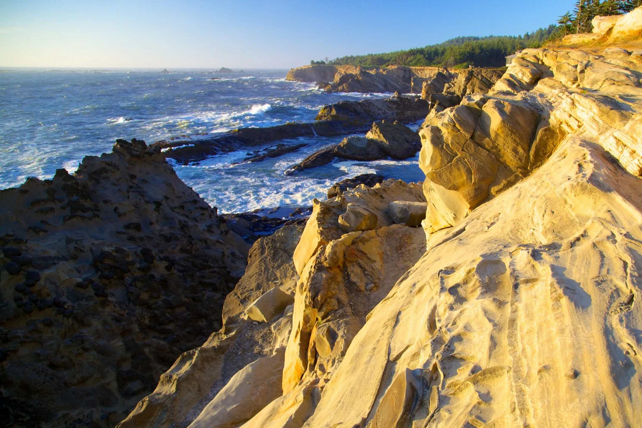 secrets-of-oregons-shore-acres-sea-caves