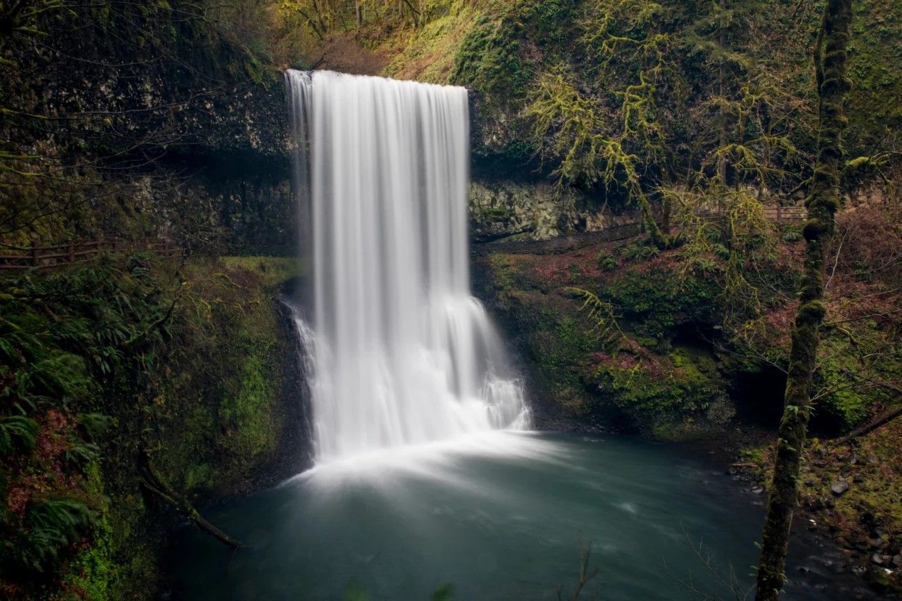 secrets-of-oregons-silver-falls-forest-glades