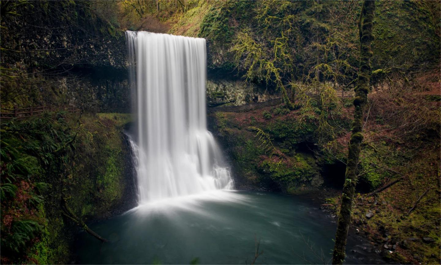 secrets-of-oregons-silver-falls-forests