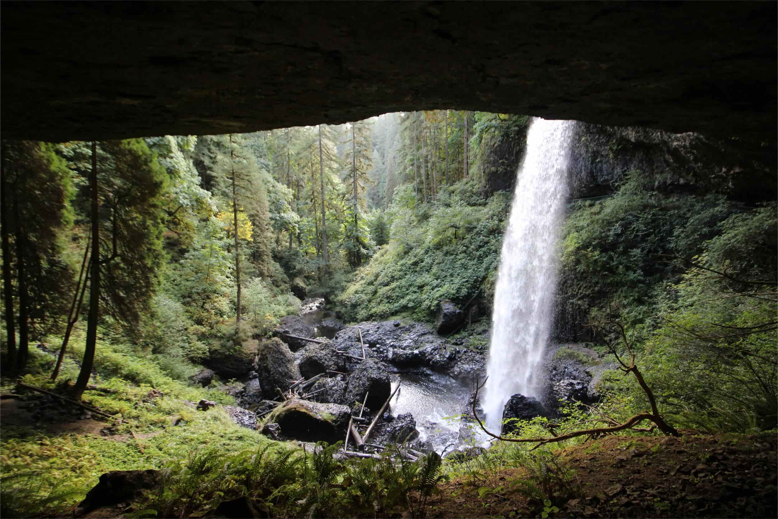 secrets-of-oregons-silver-falls-state-park-grottos