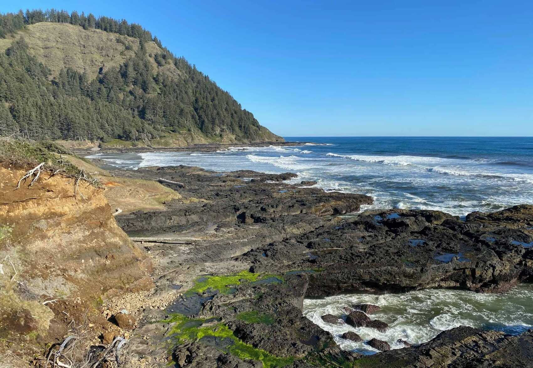 secrets-of-oregons-yaquina-head-tidal-pools
