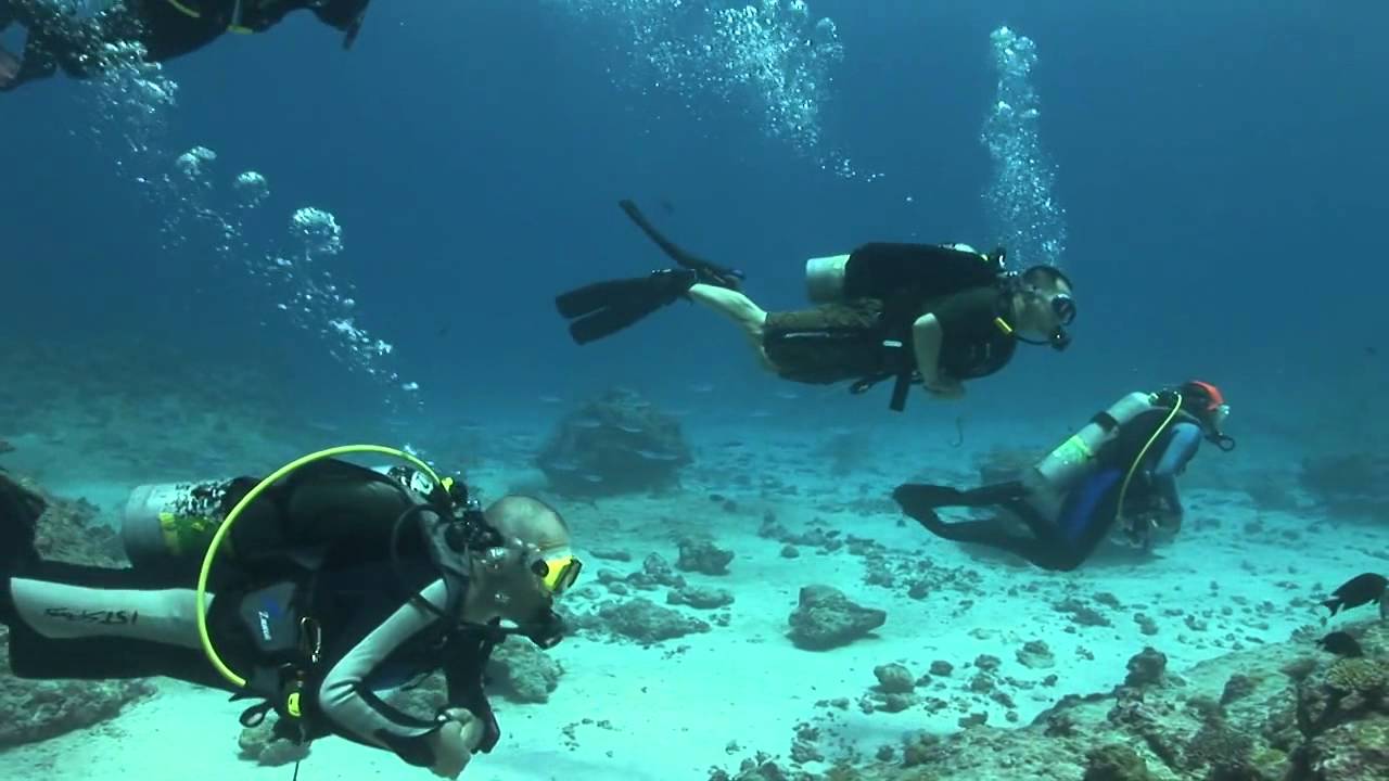 secrets-of-palaus-blue-corner-diving-sites