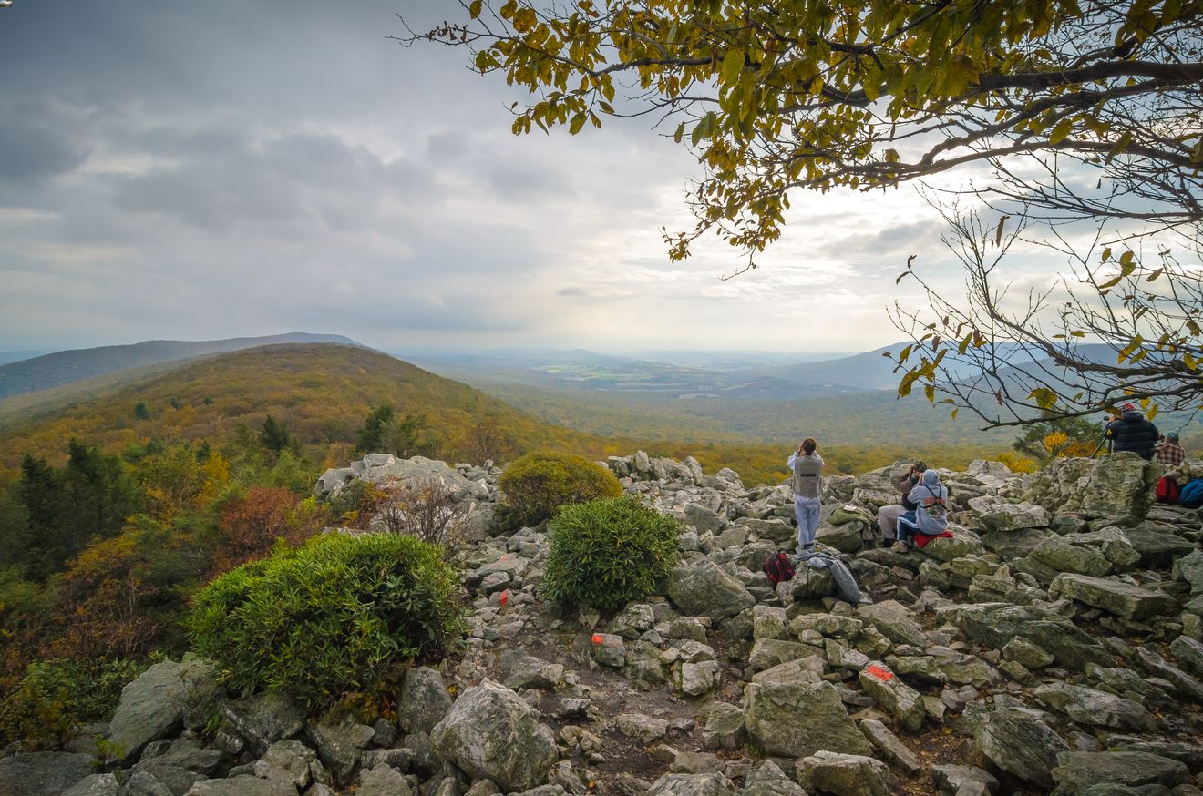 secrets-of-pennsylvanias-hawk-mountain-sanctuary-bird-banding-stations