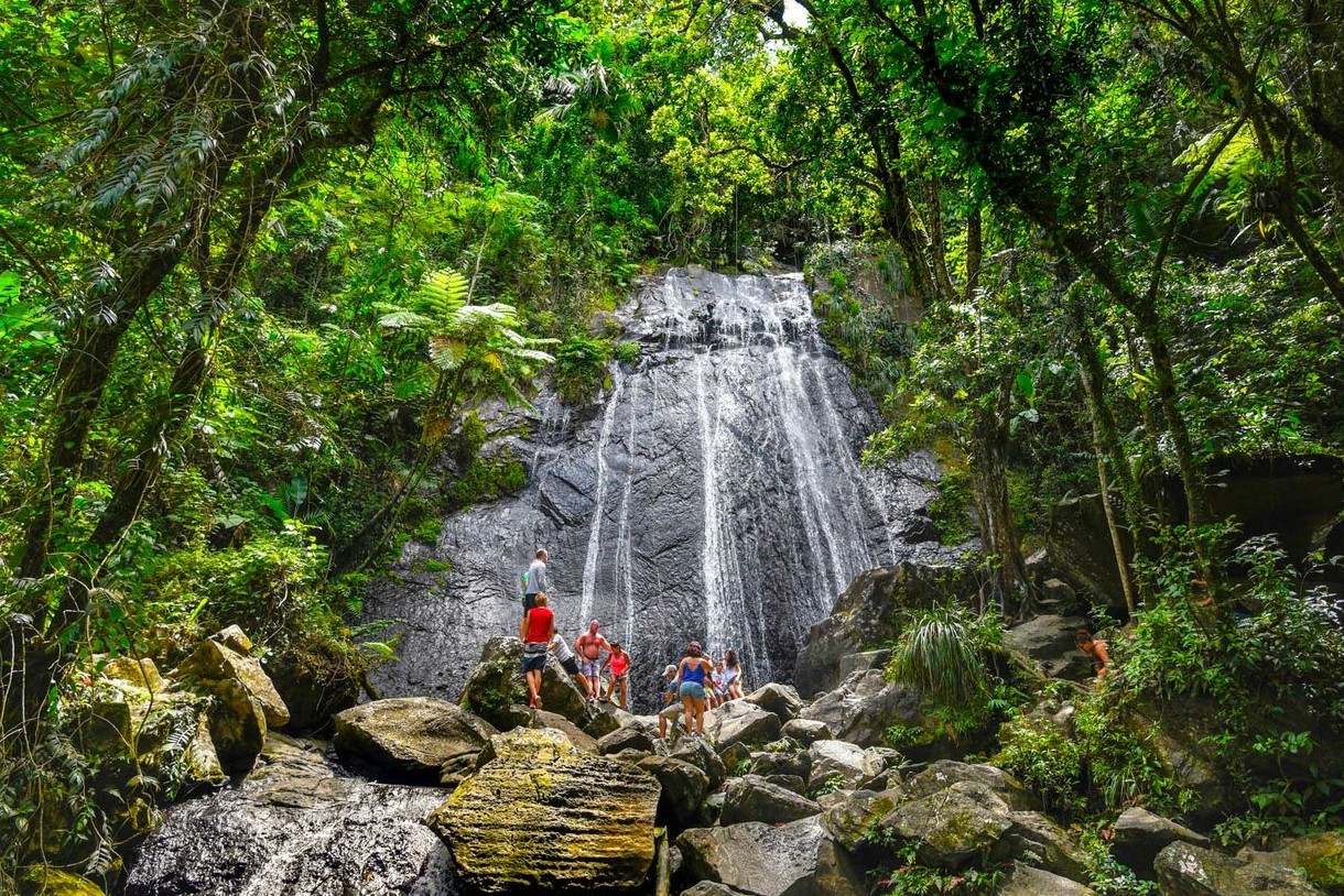 secrets-of-puerto-ricos-el-yunque-cloud-forest