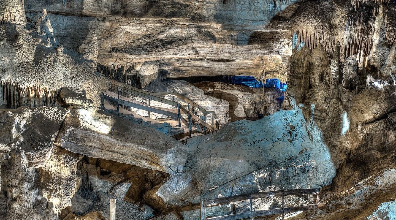 secrets-of-raccoon-mountains-underground-networks