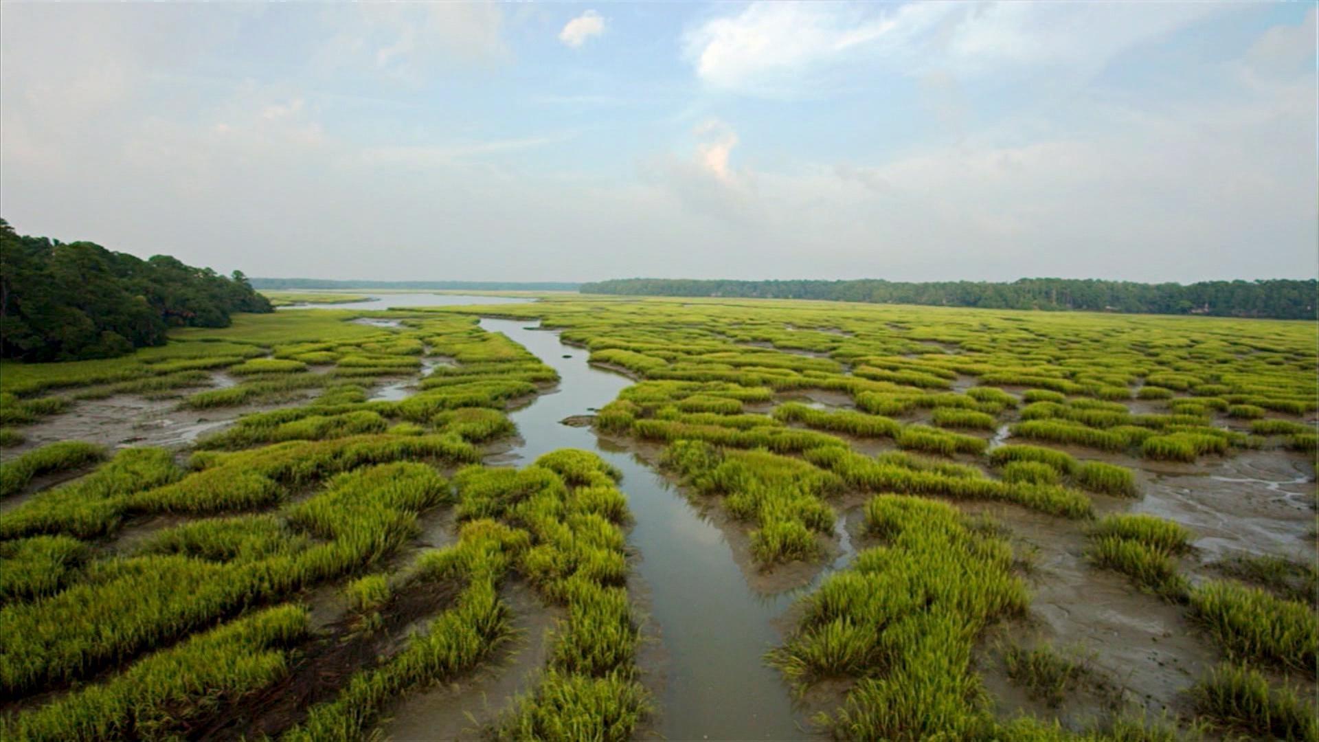 Secrets-Of-South-Carolina8217s-ACE-Basin-Tidal-Creeks secrets-of-south-carolinas-ace-basin-tidal-creeks