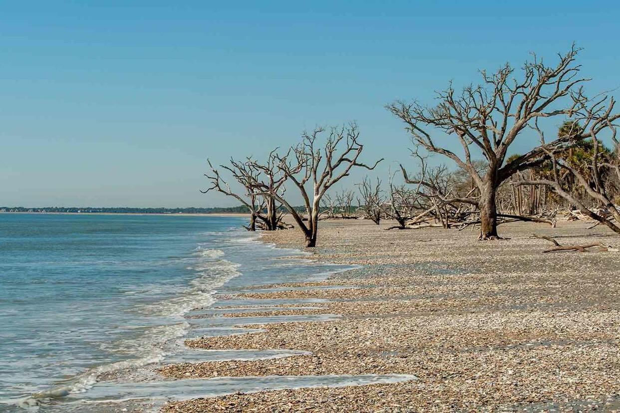 secrets-of-south-carolinas-edisto-beach-sandbar-roosting-sites