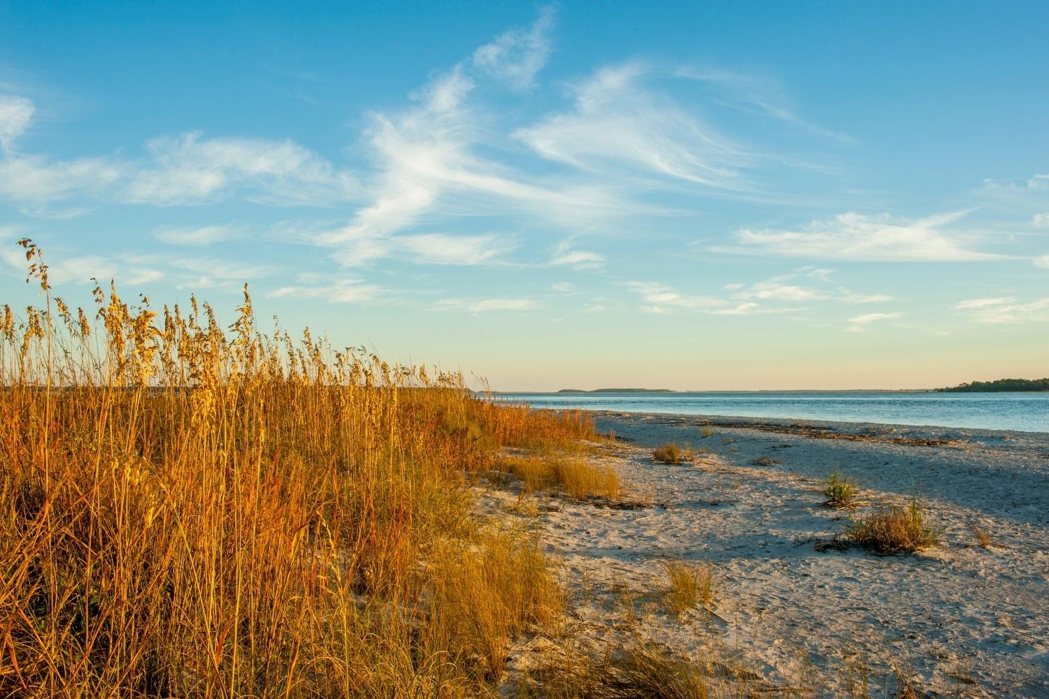 Secrets-Of-South-Carolina8217s-Edisto-River-Shell-Middens secrets-of-south-carolinas-edisto-river-shell-middens