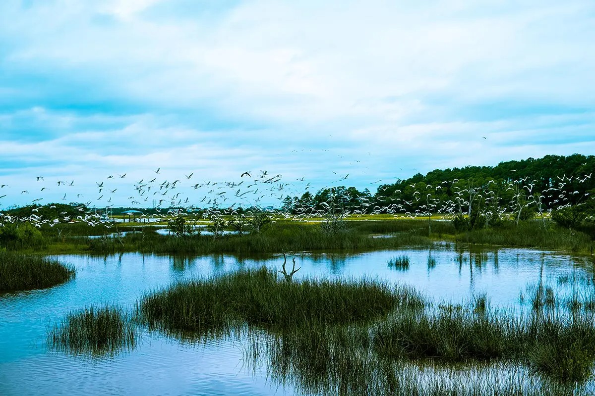 secrets-of-south-carolinas-lowcountry-tidal-creeks