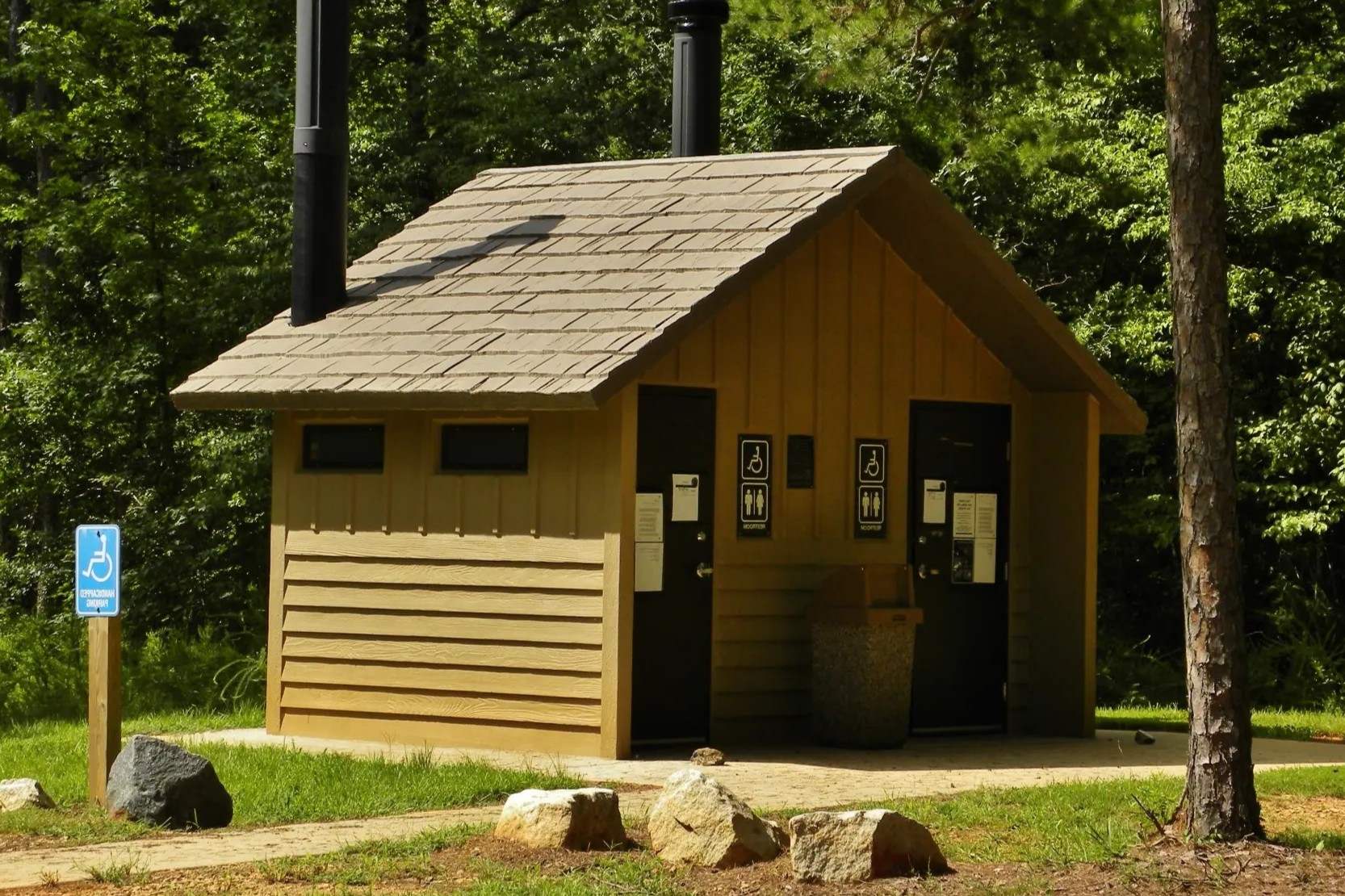 secrets-of-south-carolinas-osprey-platforms-in-francis-marion-forest
