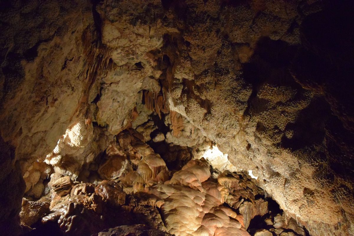 secrets-of-south-dakotas-jewel-cave-paleontology