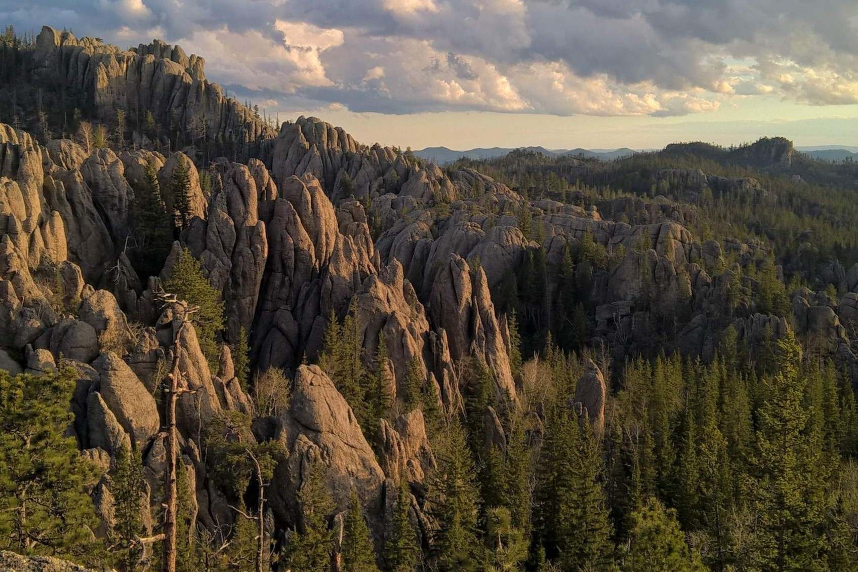secrets-of-south-dakotas-prairie-dog-burrows