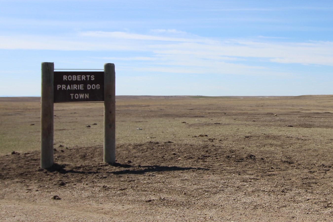 secrets-of-south-dakotas-prairie-dog-town