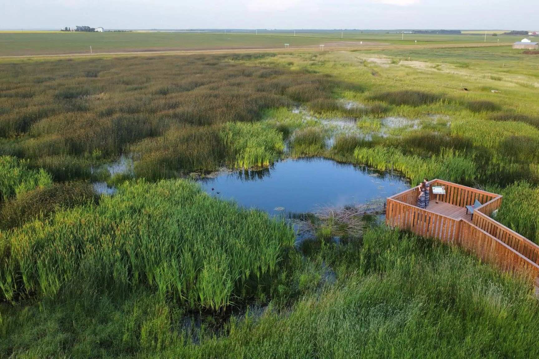 secrets-of-south-dakotas-prairie-wetlands