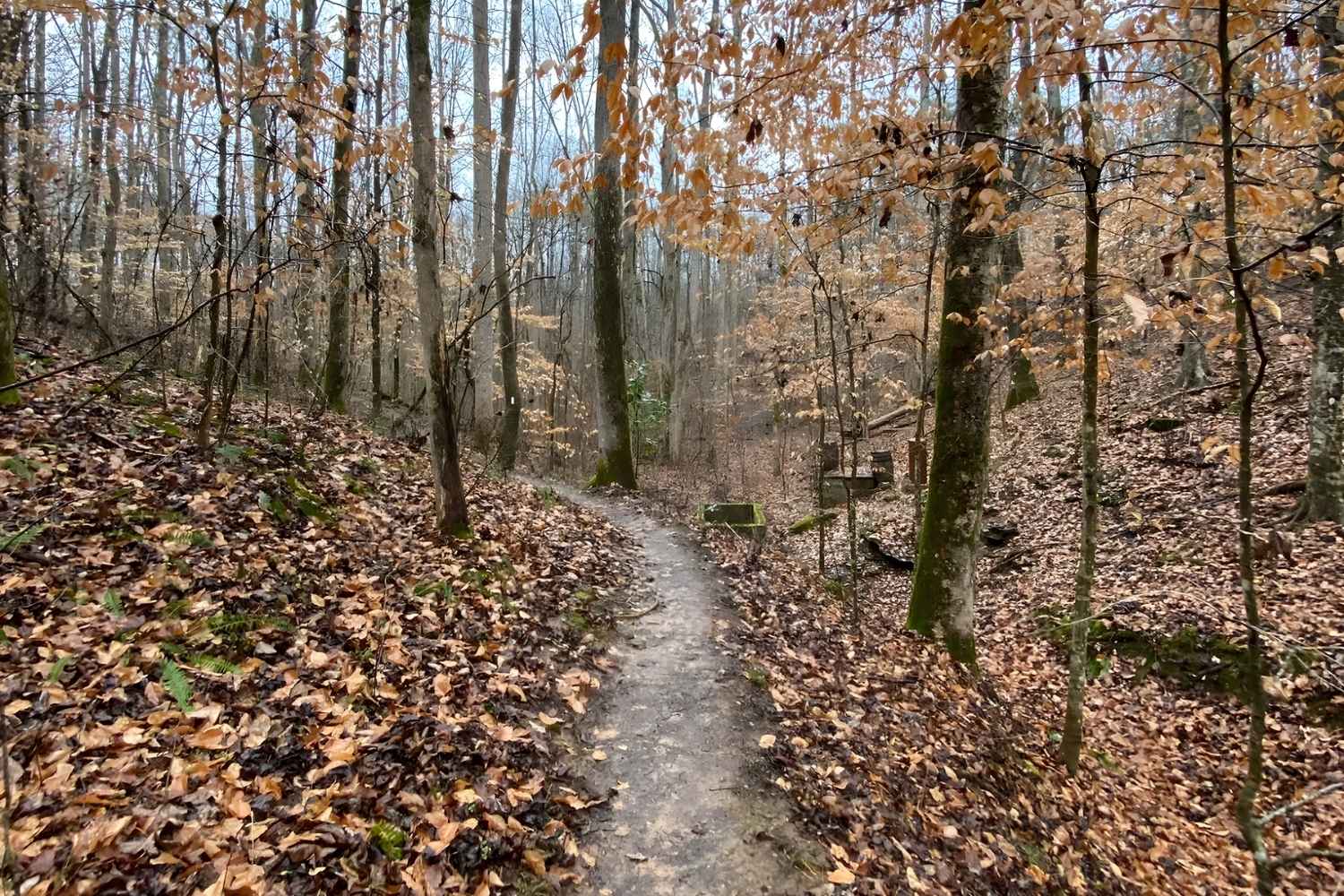 secrets-of-tennessees-appalachian-moonshine-trails
