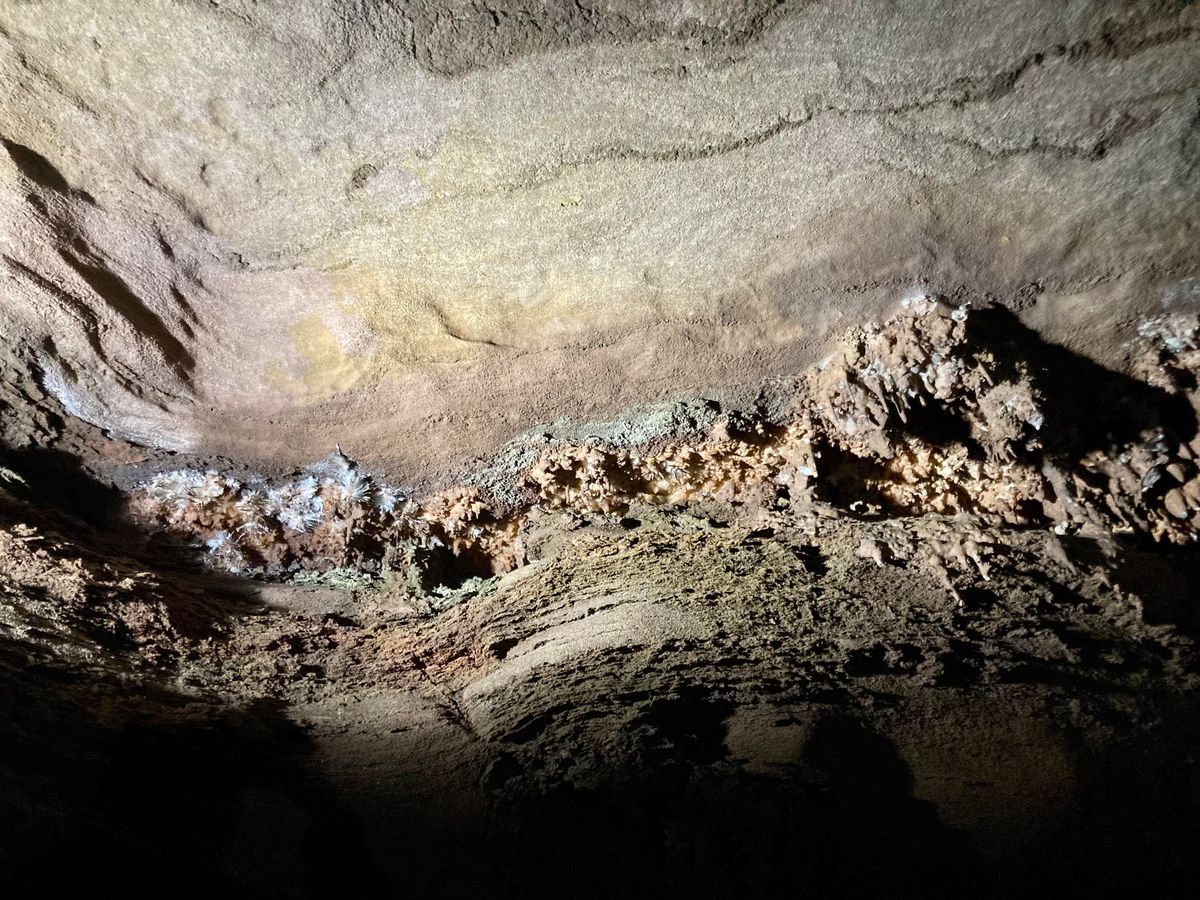 secrets-of-tennessees-craighead-caverns-system