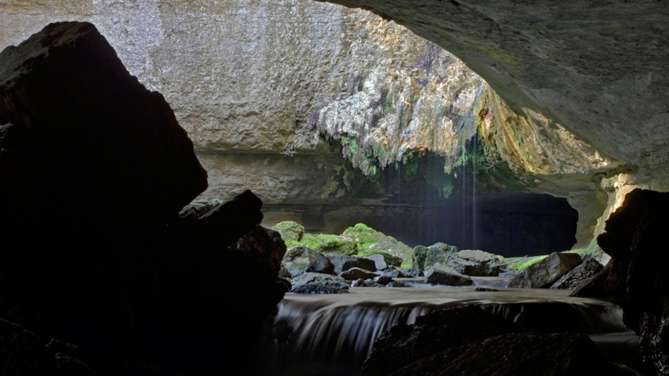 secrets-of-tennessees-southeastern-cave-conservancy