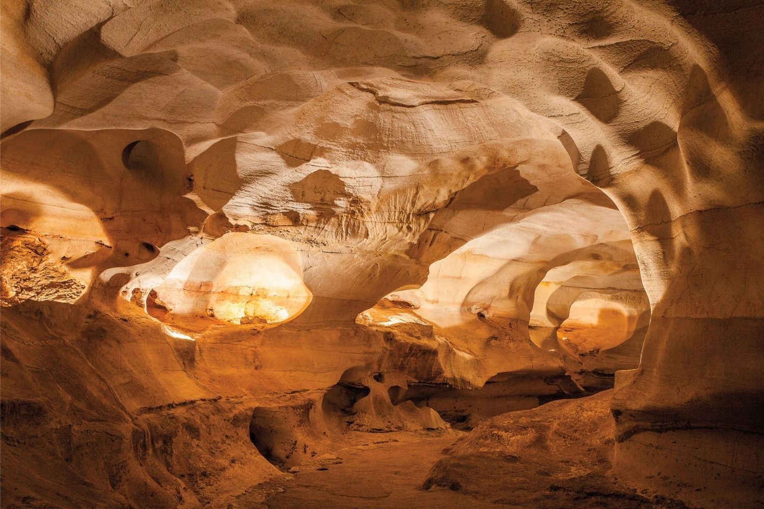 secrets-of-texas-cave-paleontology