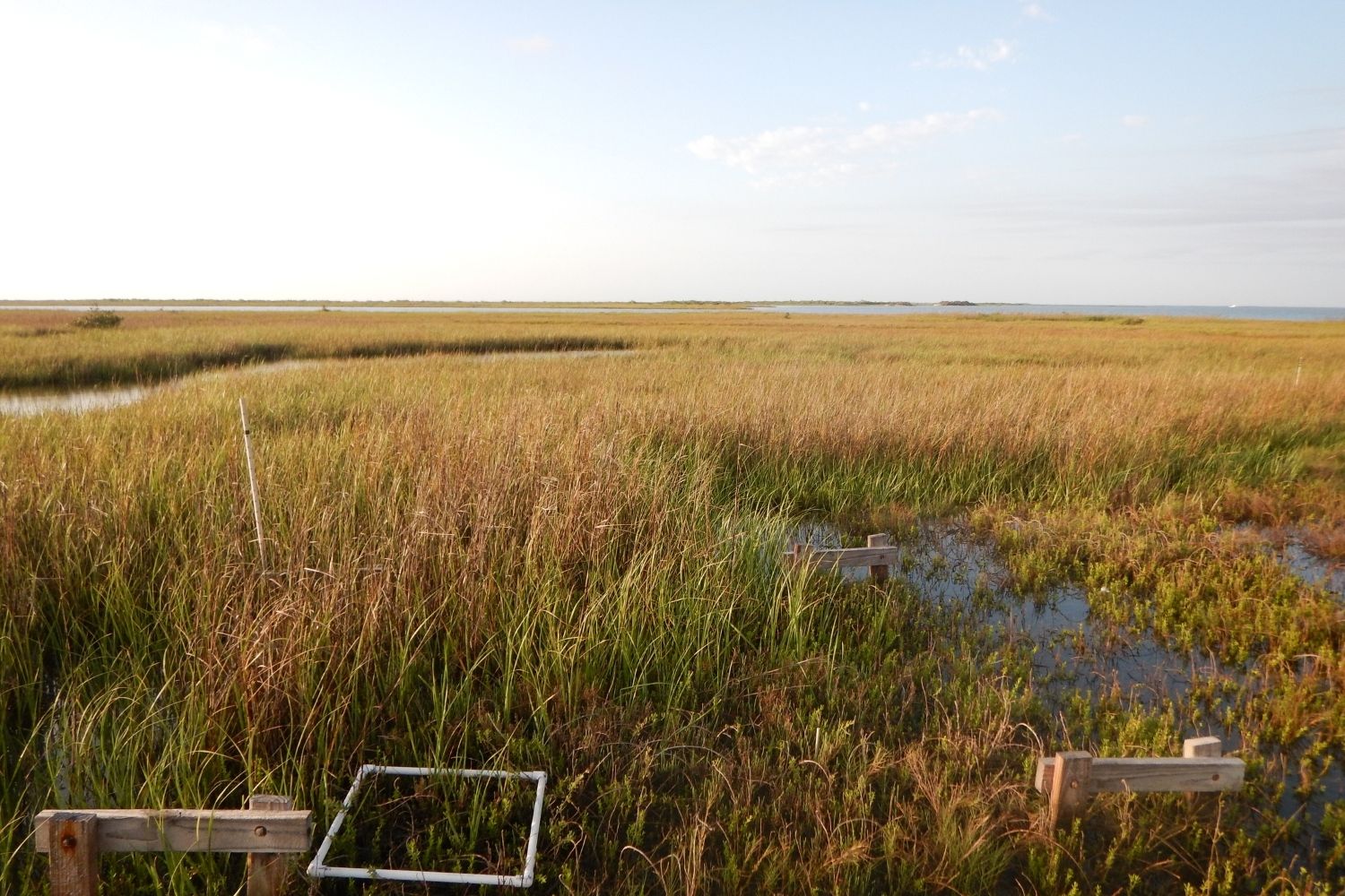 secrets-of-texas-tidal-lagoons-at-aransas-national-wildlife-refuge